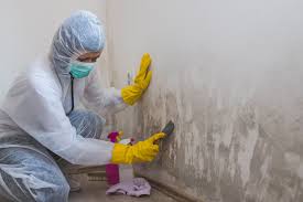 Professional Mold Removal Services in Crockett, CA